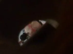 Ricci bionda piacevo ...