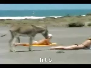 Slut sesso con un uo ...